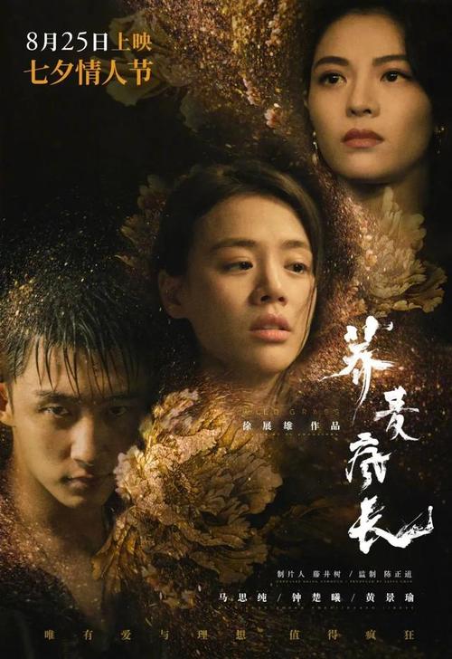 苏利文大学电子工程学位证书